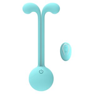 Vibrador con mando a distancia portátil